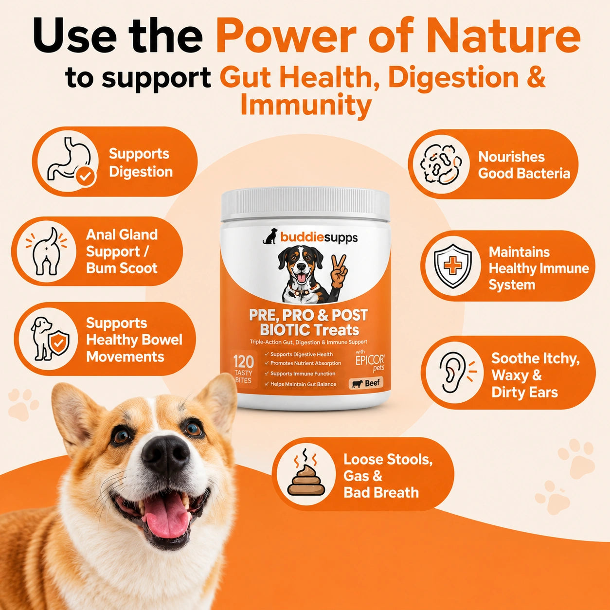 Buddies Supps™ Pre, Pro & Postbiotic Treats