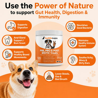 Buddies Supps™ Pre, Pro & Postbiotic Treats